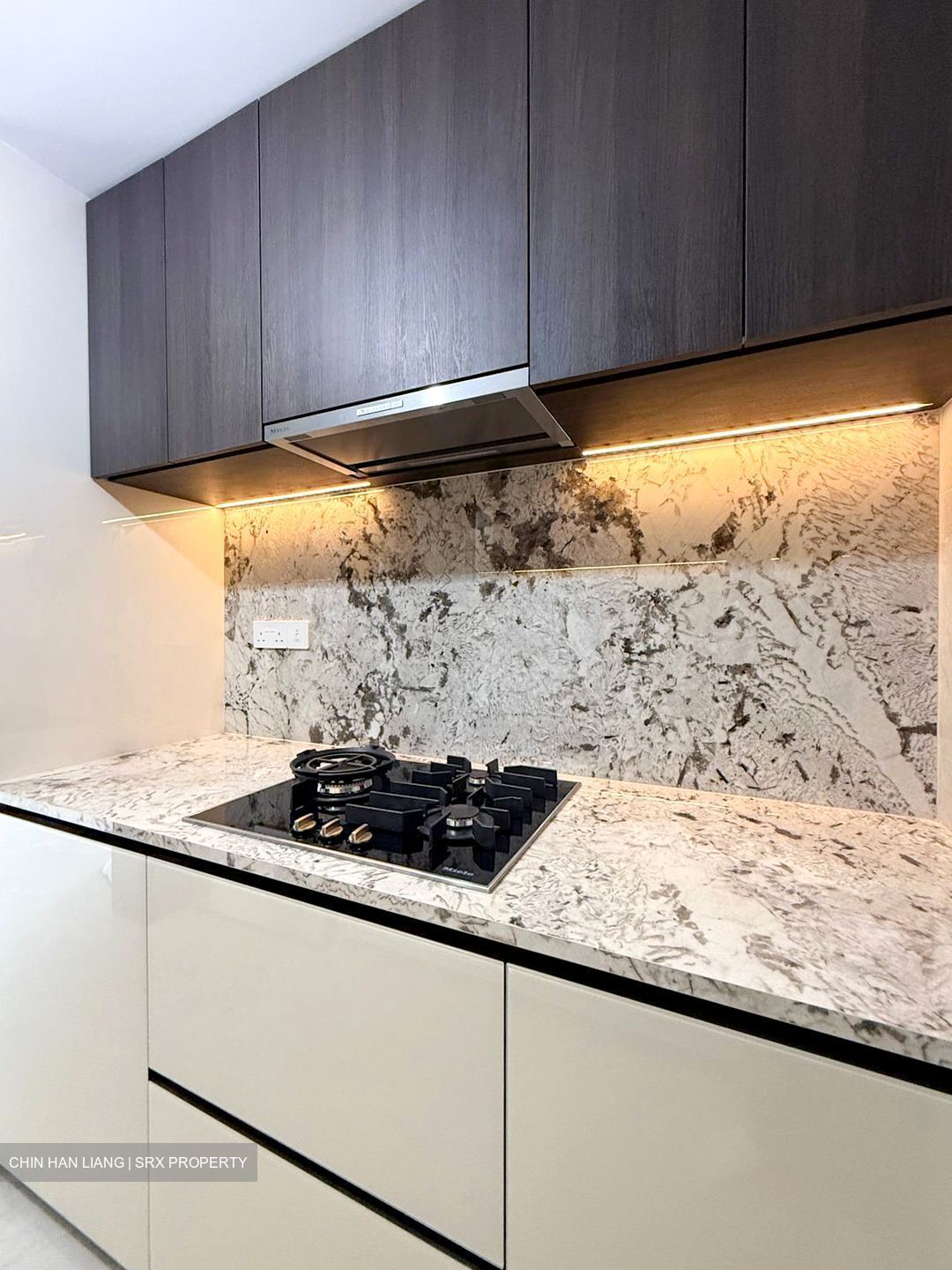 Tembusu Grand (D15), Condominium #526642341